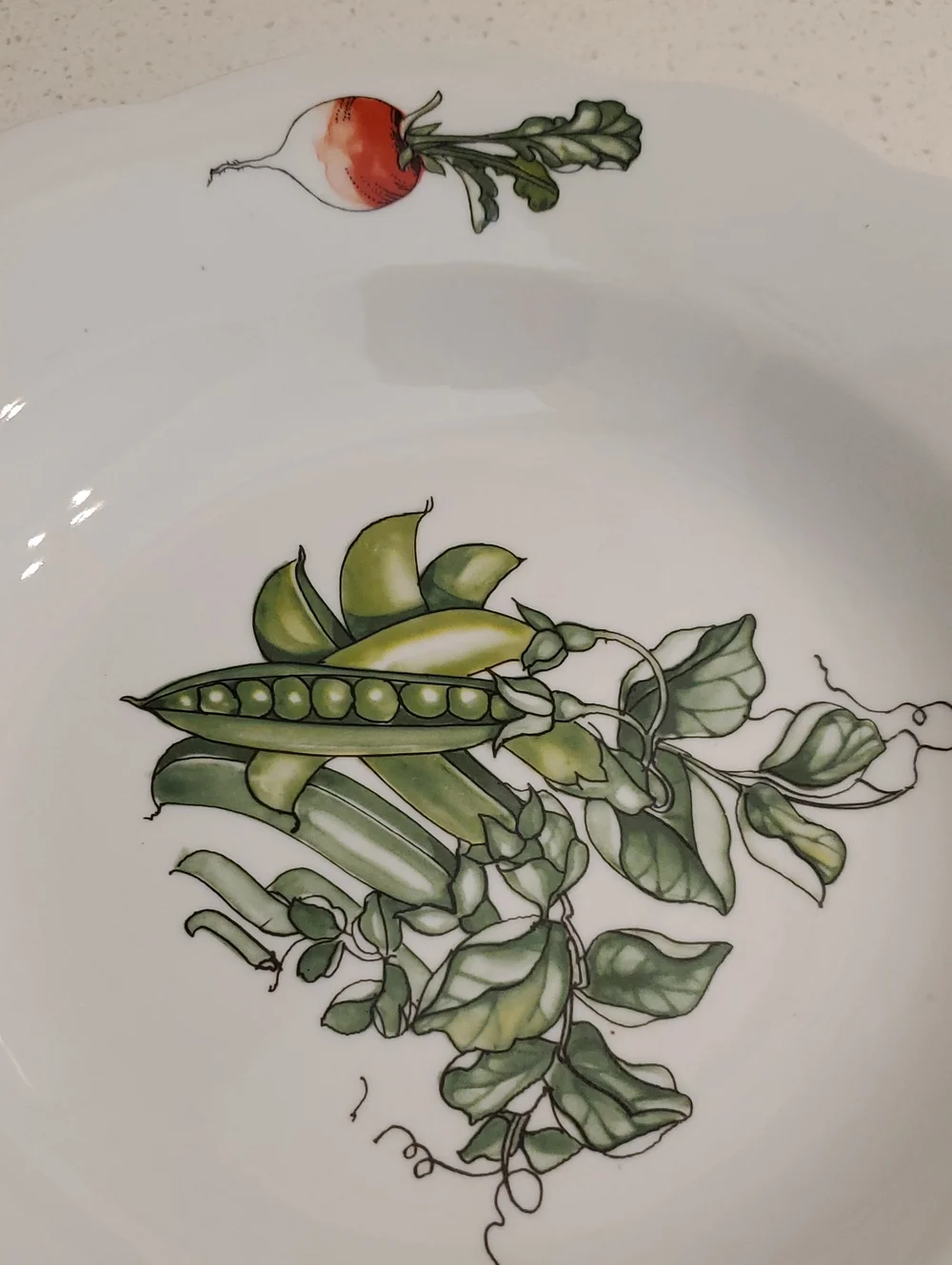 BIA Cordon Bleu Veggie Scalloped Porcelain Soup Dish Pea Pods
